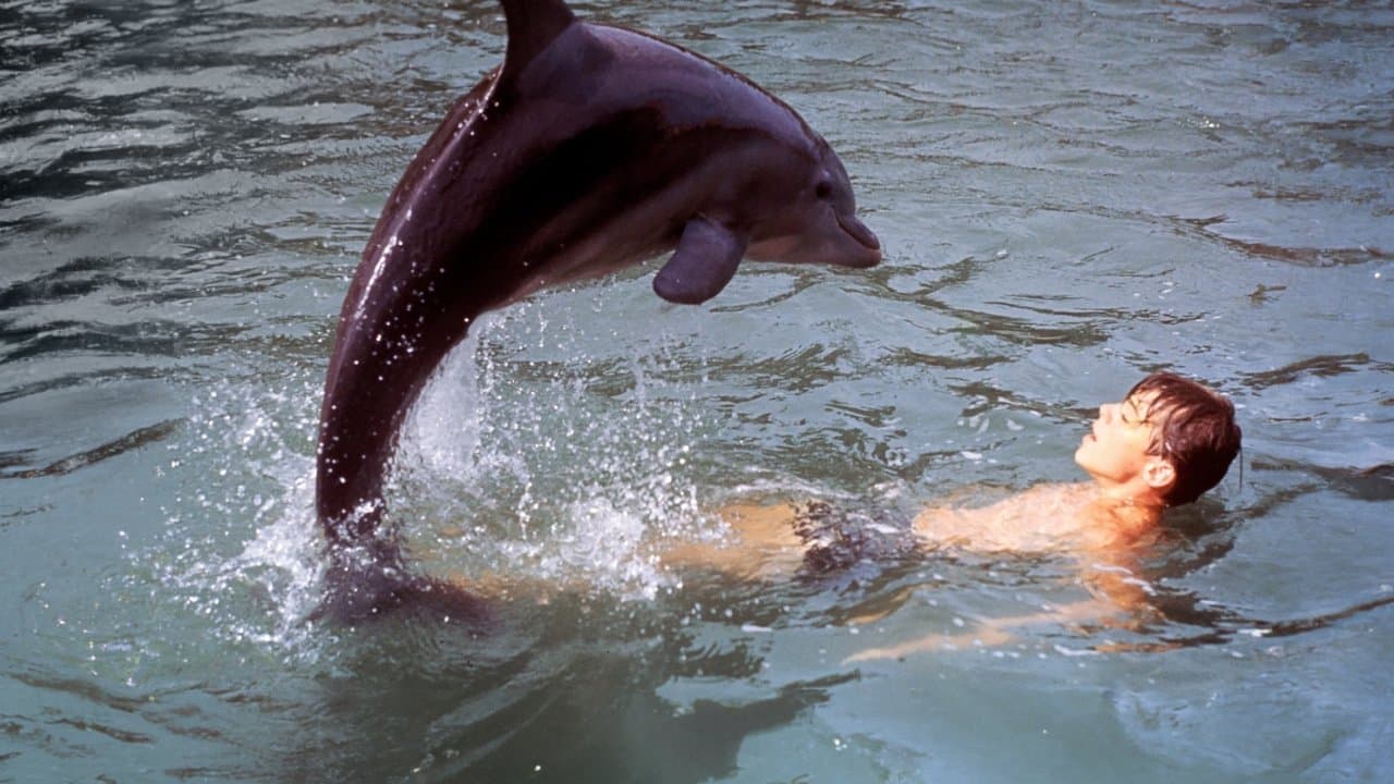 Flipper y los piratas