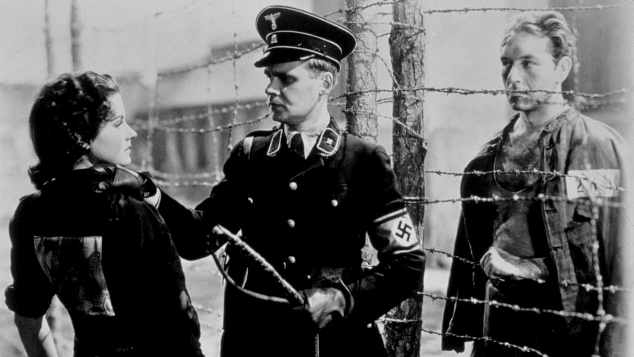 Tren nocturno a Múnich