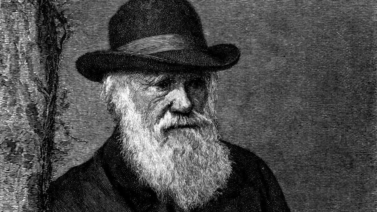 El genio de Darwin: Las claves de la evolución