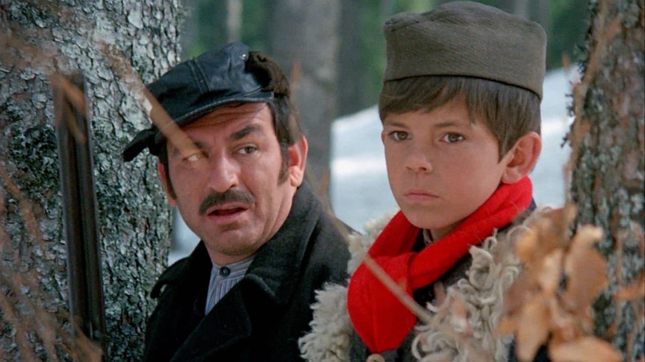 Вук самотњак