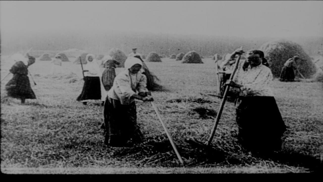 Кино-Правда № 17