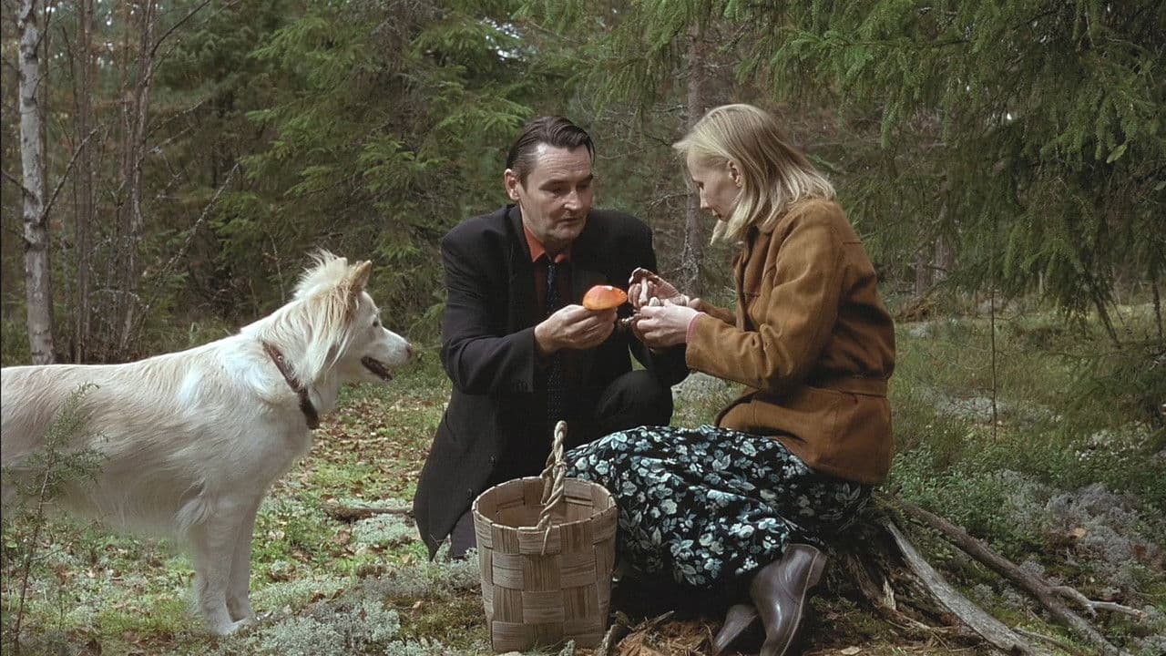 Un hombre sin pasado