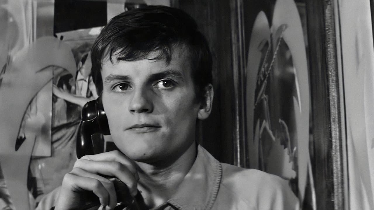 Los raíles del crimen