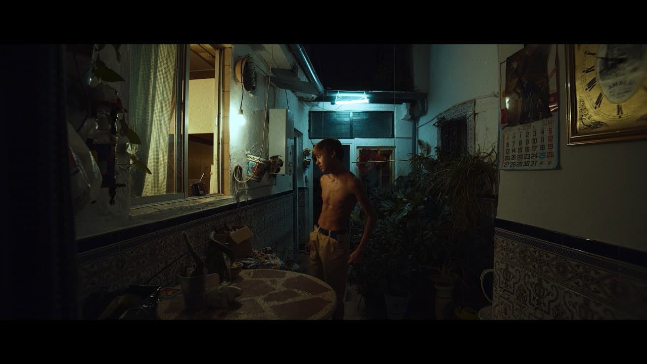 The tale of the lemon tree