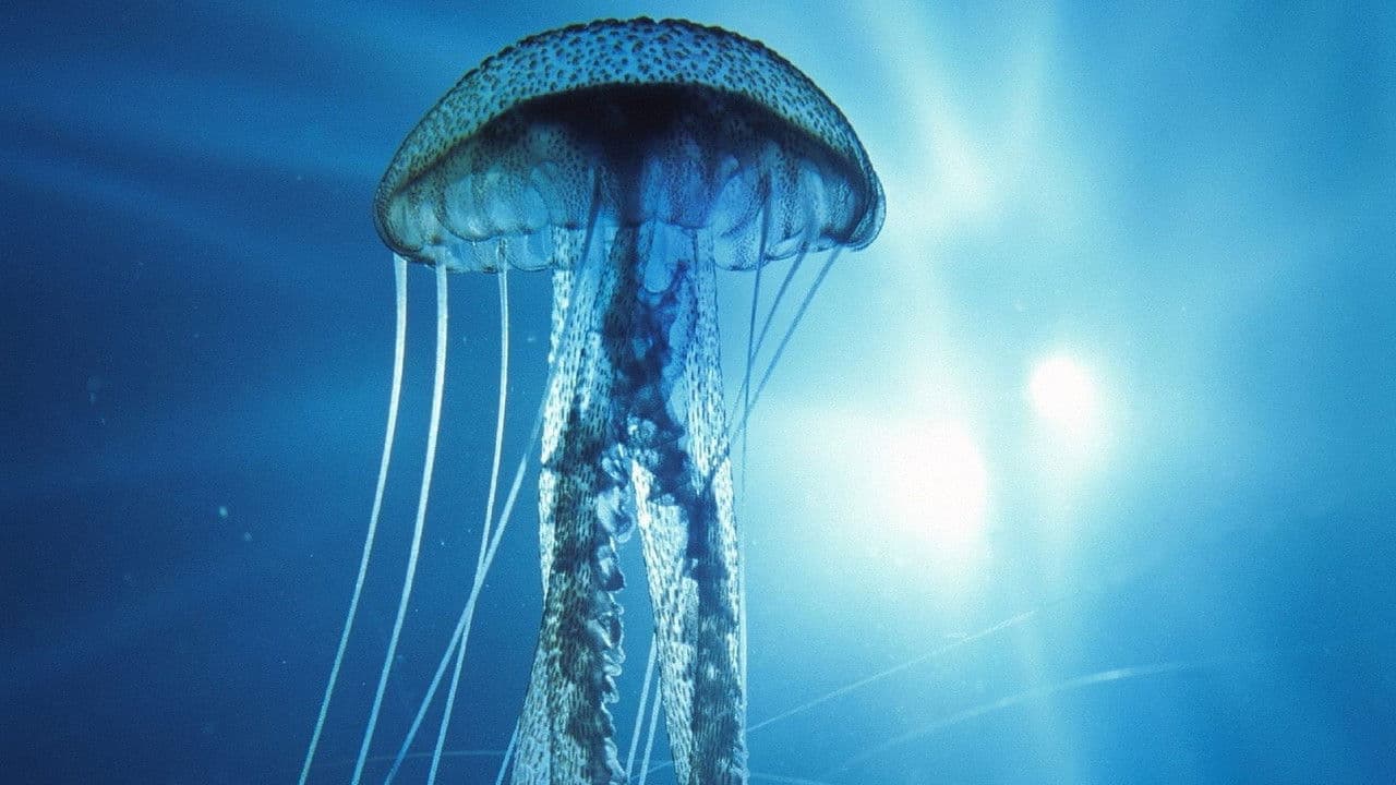 IMAX: En Lo Mas Profundo