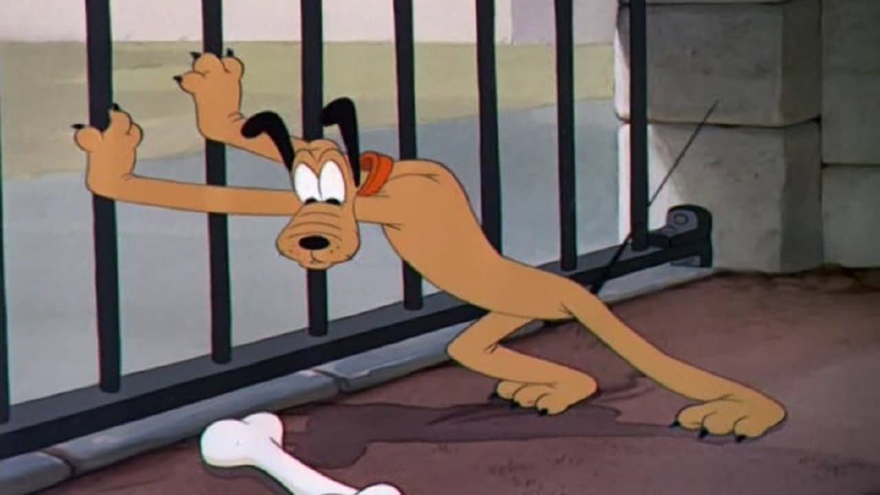 Pluto en el zoo