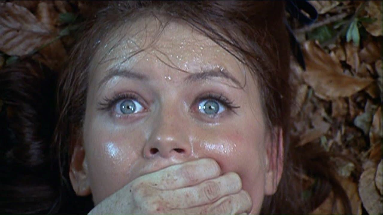 Pánico en el bosque