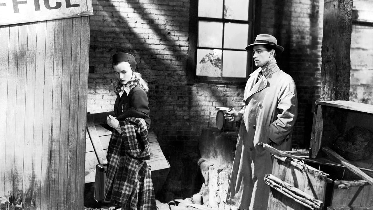 El cuervo (Contratado para matar)