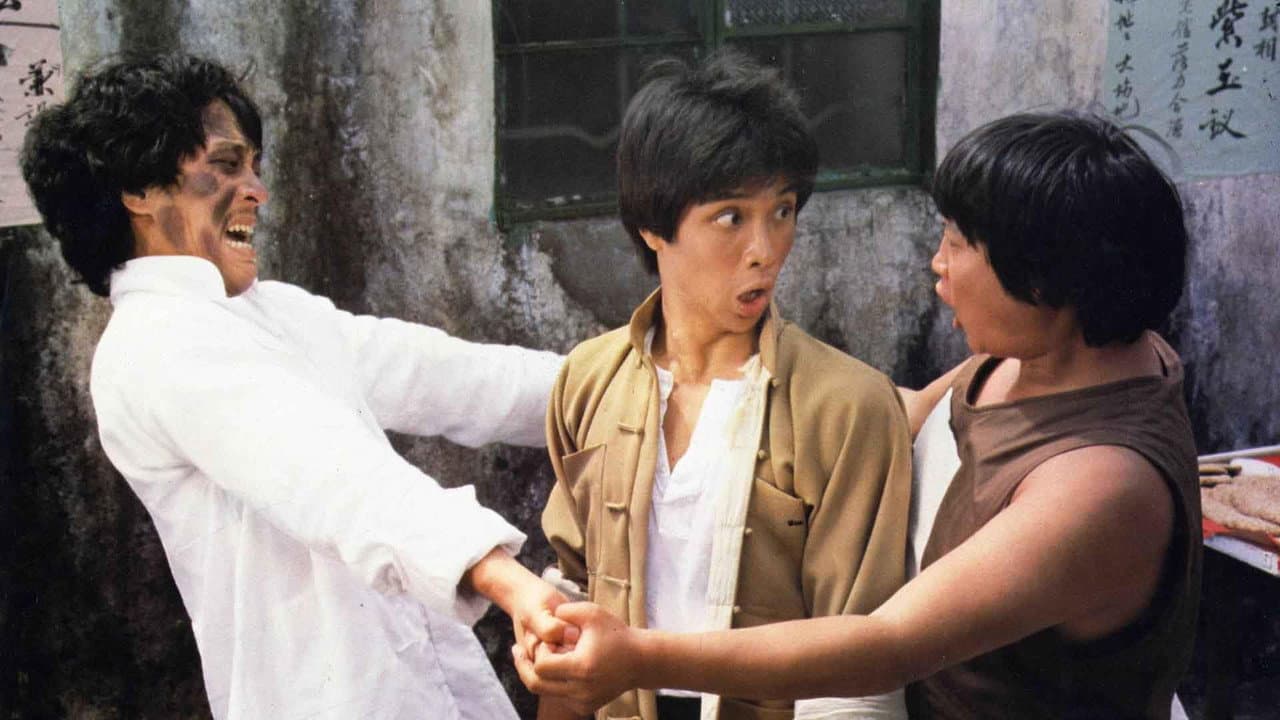 El increíble maestro del kung fu