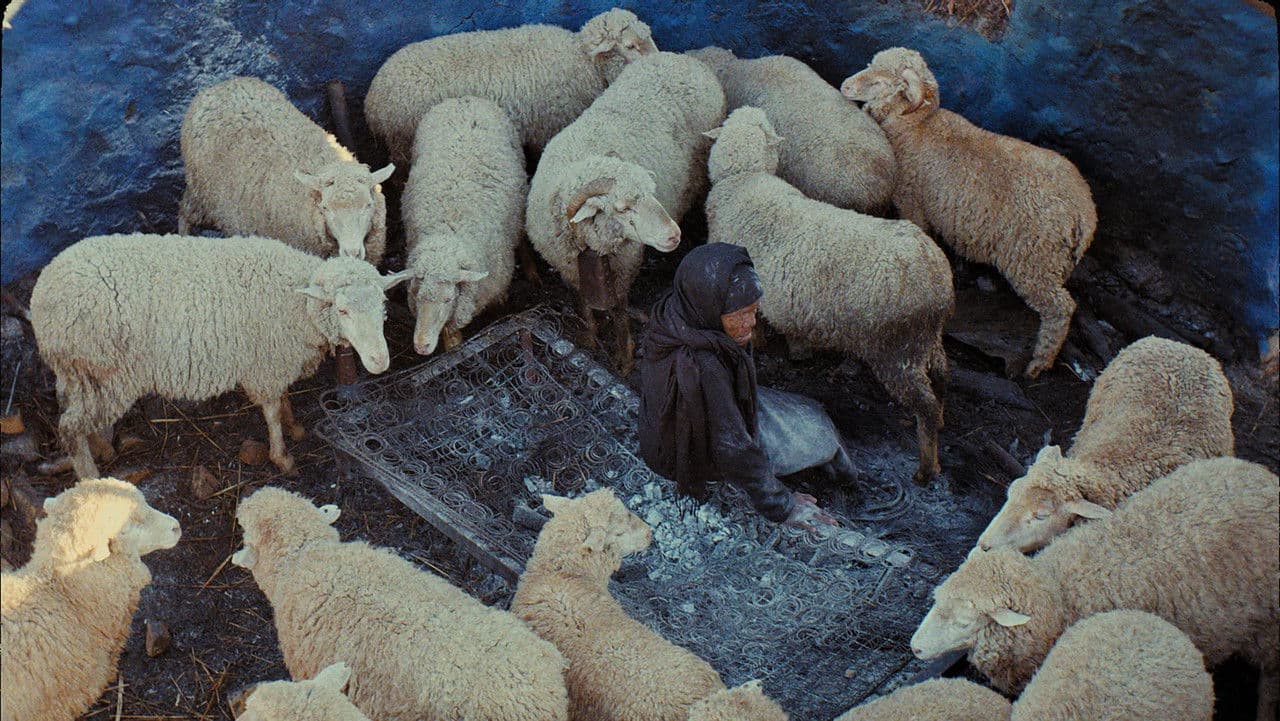 Esto no es un entierro, es una resurrección