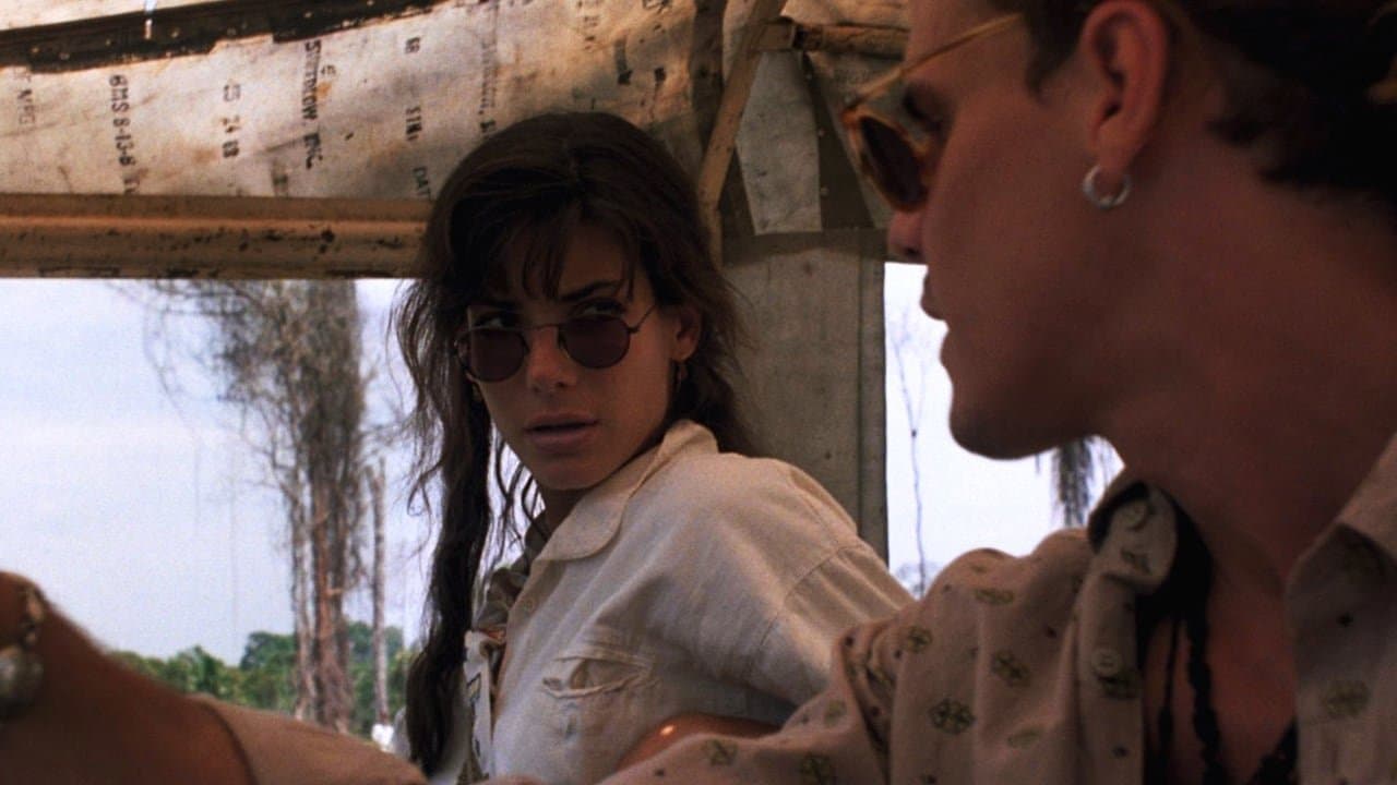 Fuego en el Amazonas