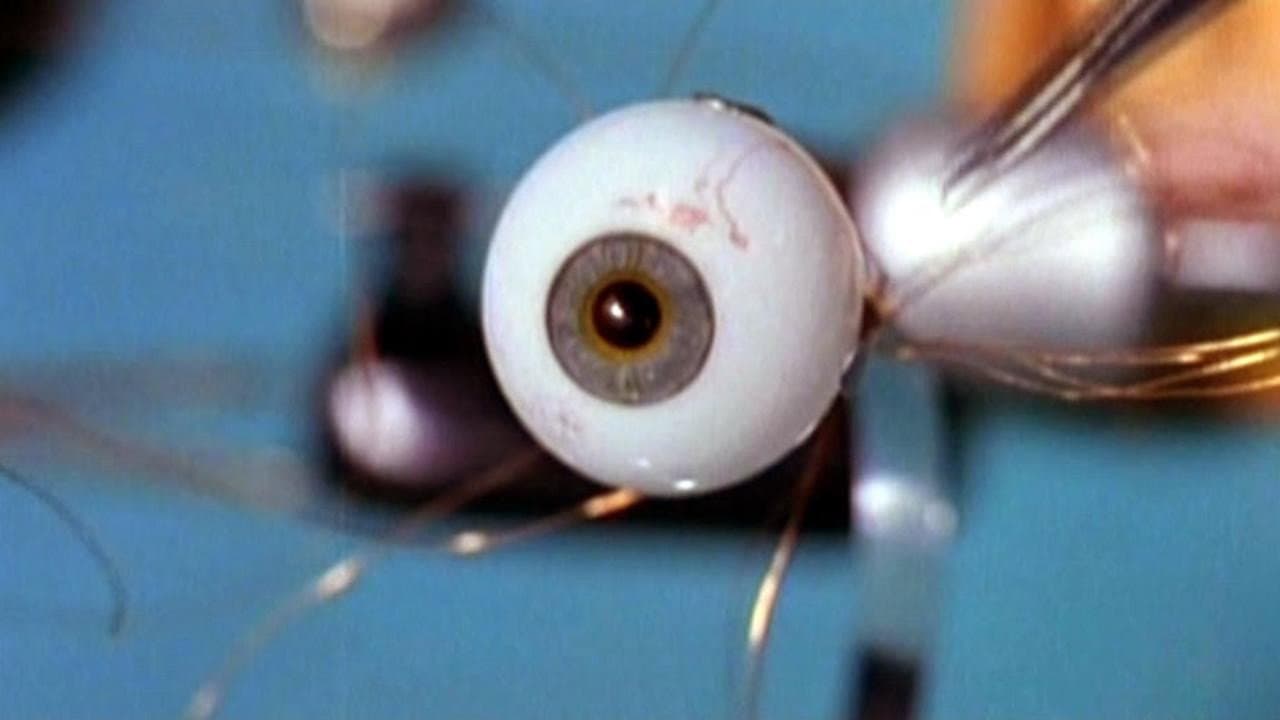 Berlín, cita con los espías