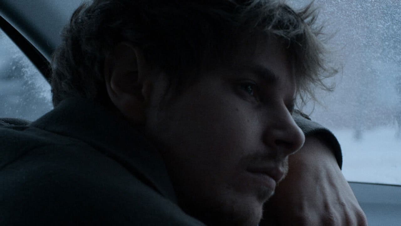 L'amour au temps de la guerre civile