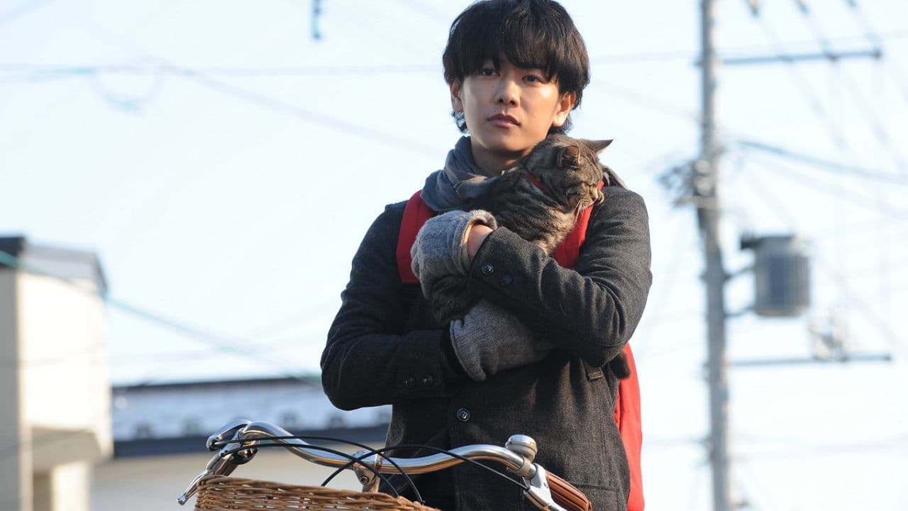 Si los gatos desaparecieran de la Tierra