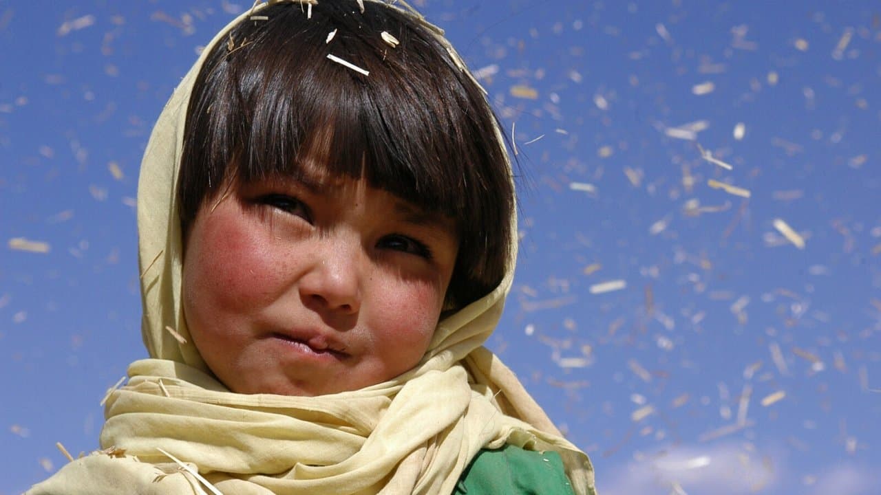 Buda explotó por vergüenza