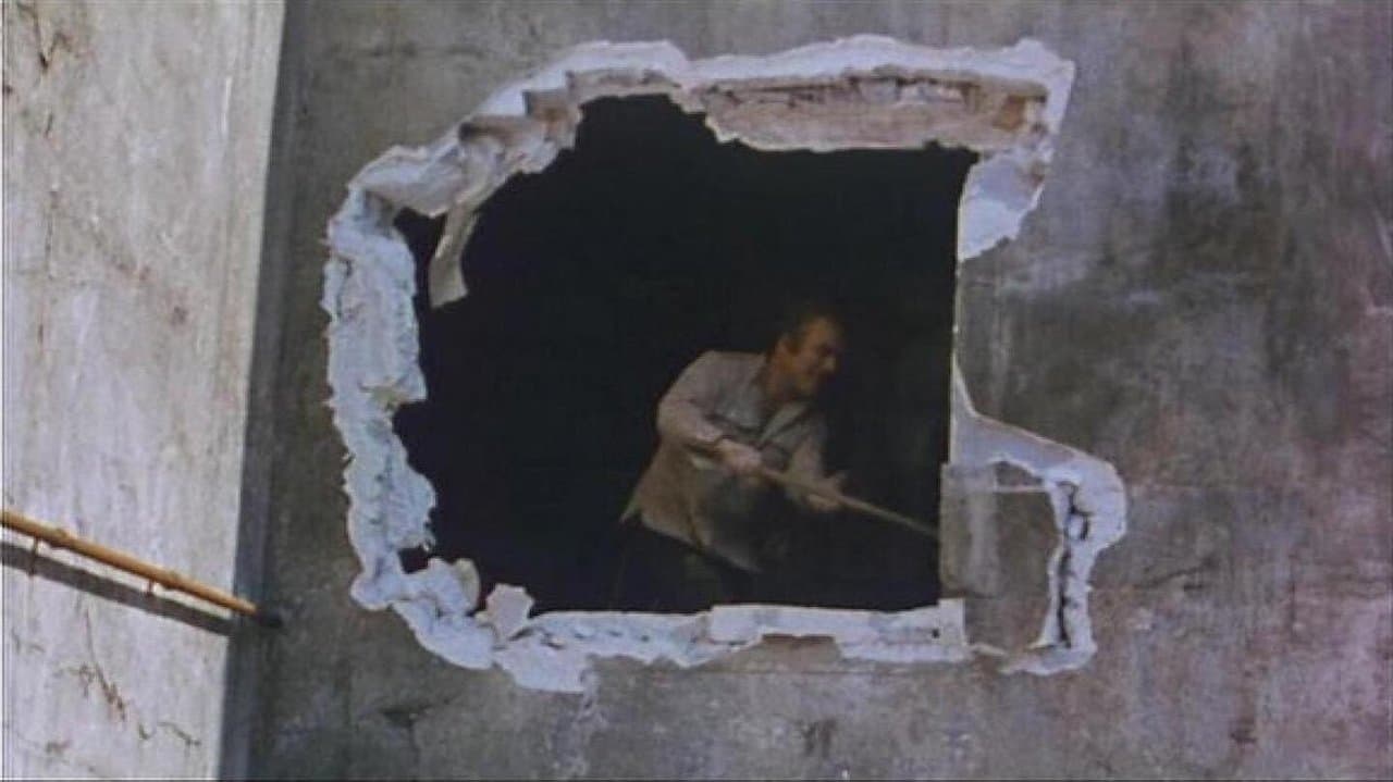 Themroc, el cavernícola urbano