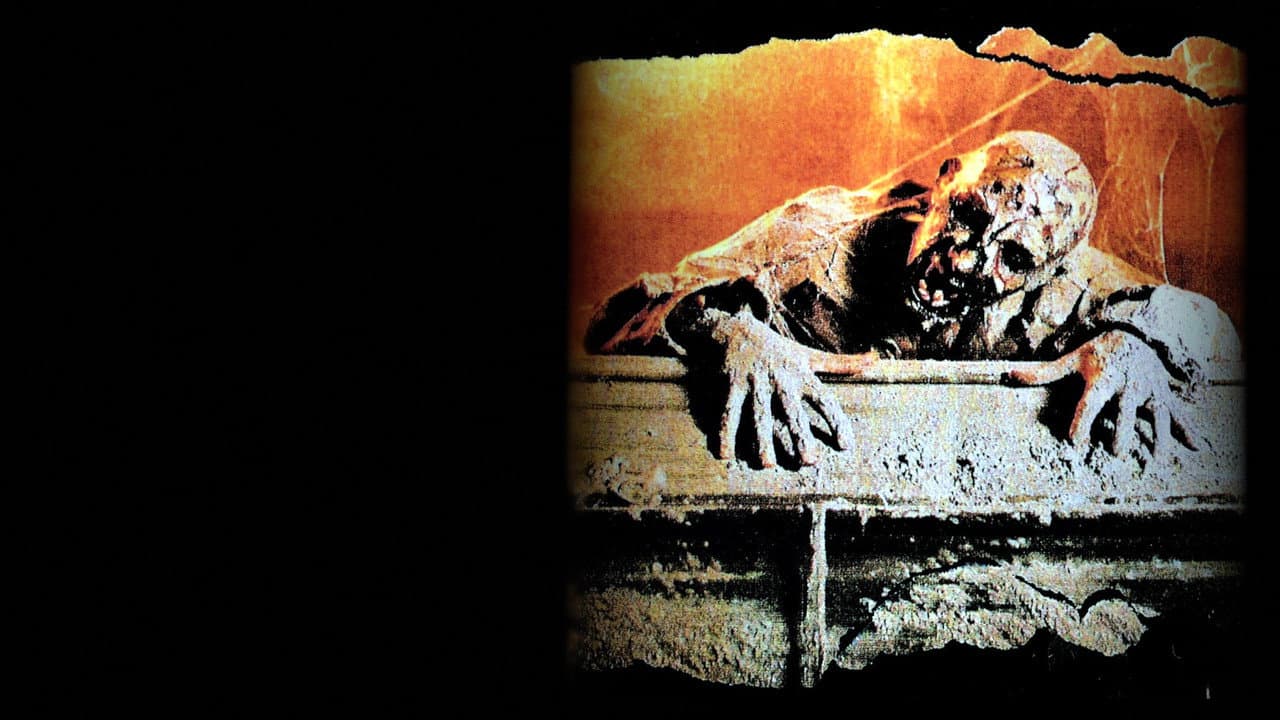 Disturbios en el cementerio