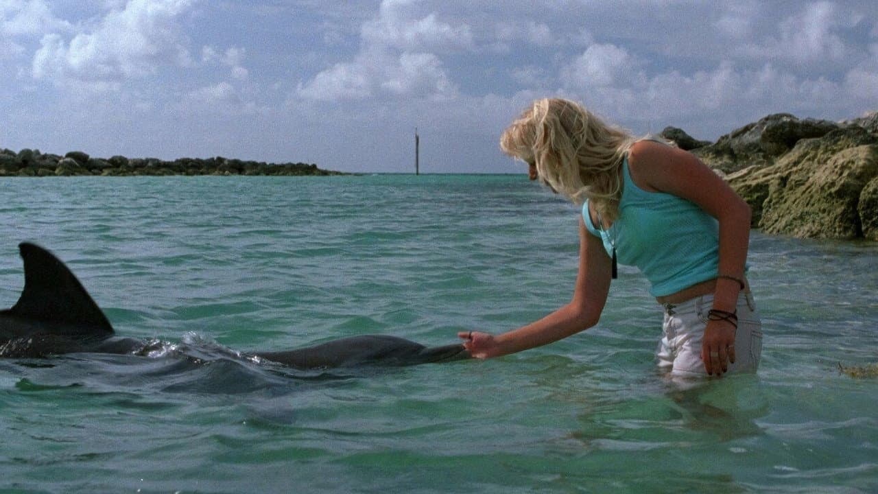 El ojo del delfin