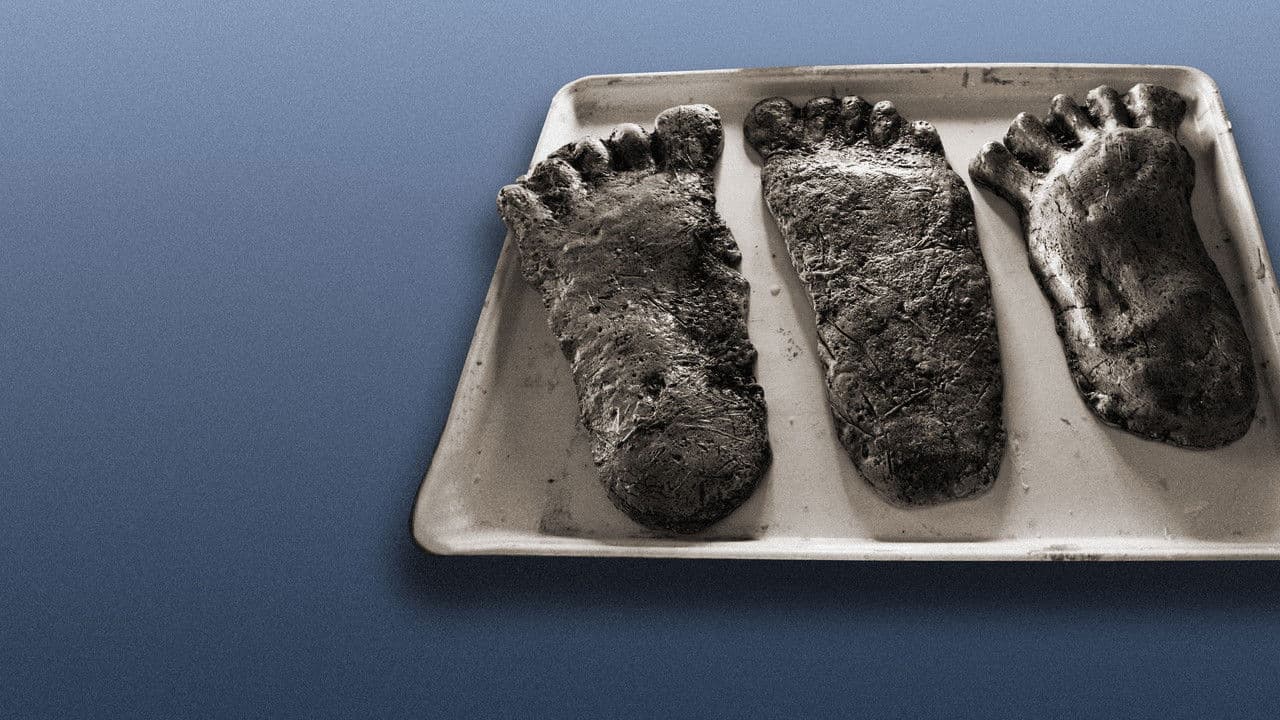 En busca del abominable hombre de las nieves