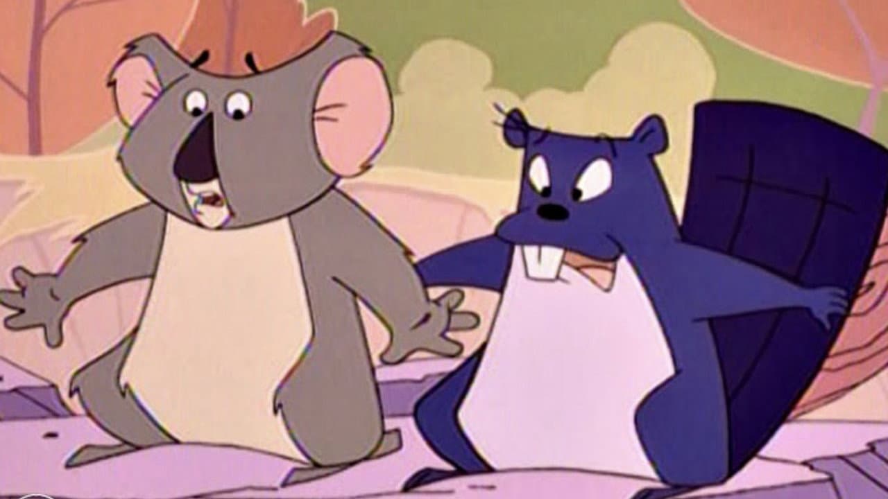 El arca mágica de Noé