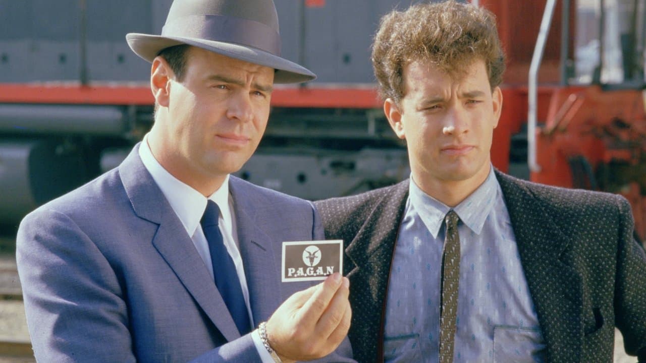 Dos sabuesos despistados