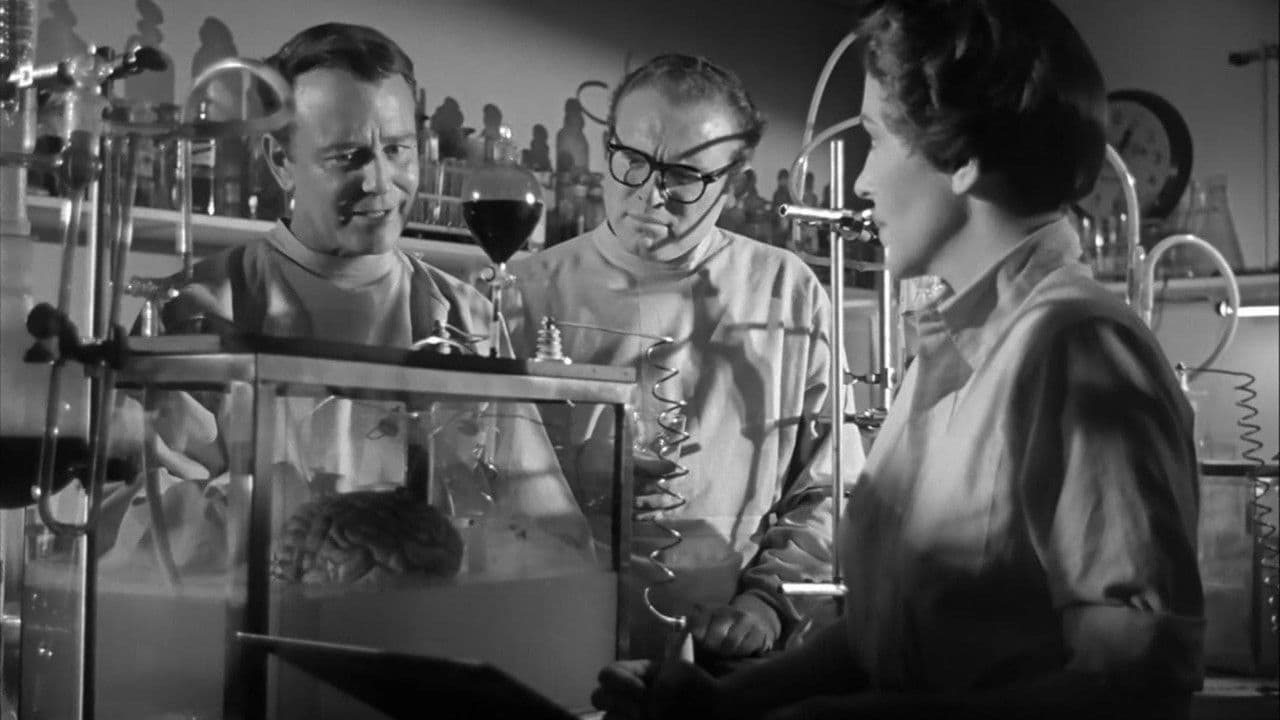 El cerebro de Donovan