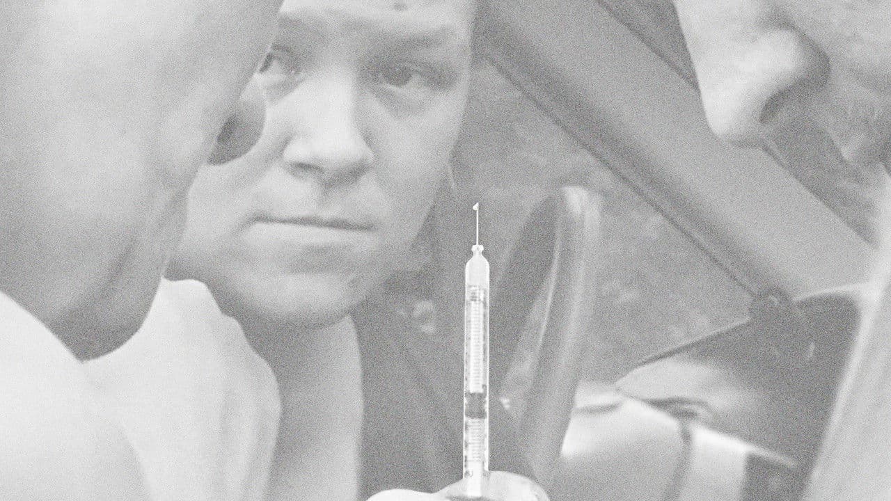 Devastados por el cristal