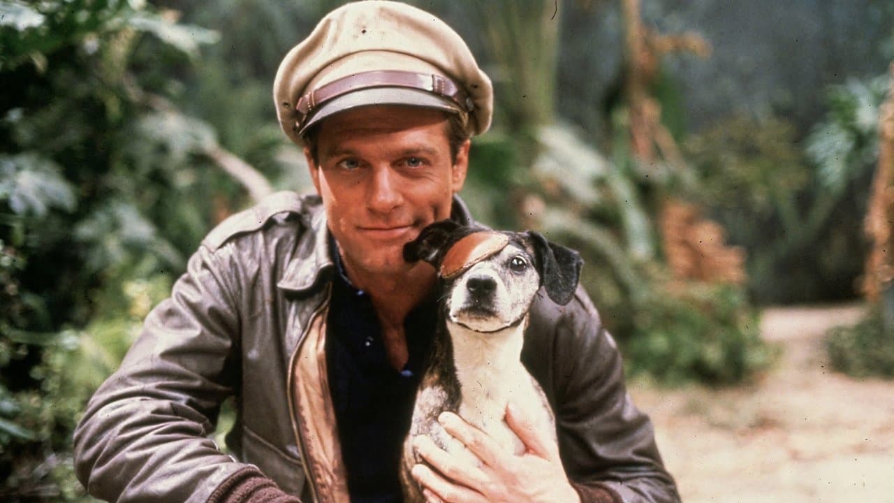 Cuentos del Mono de oro