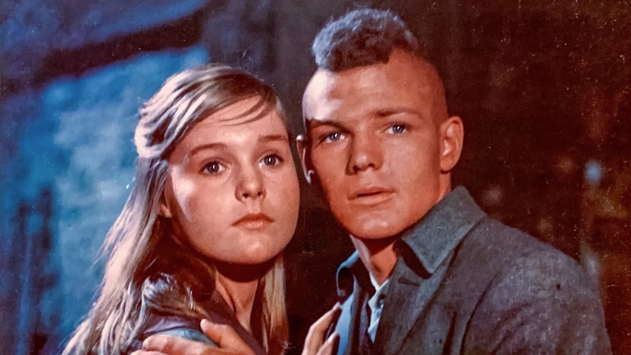 Fulgor en la espesura