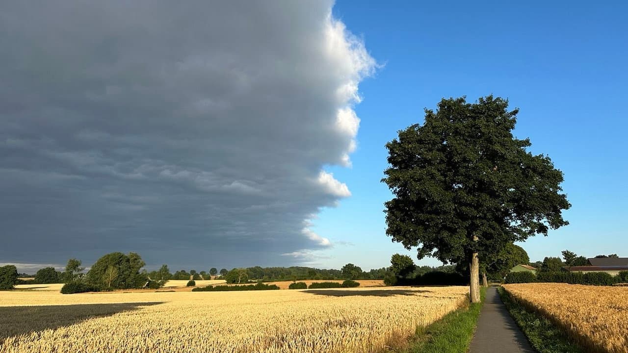 Gefährliche Wetterextreme - Dürre und Starkregen