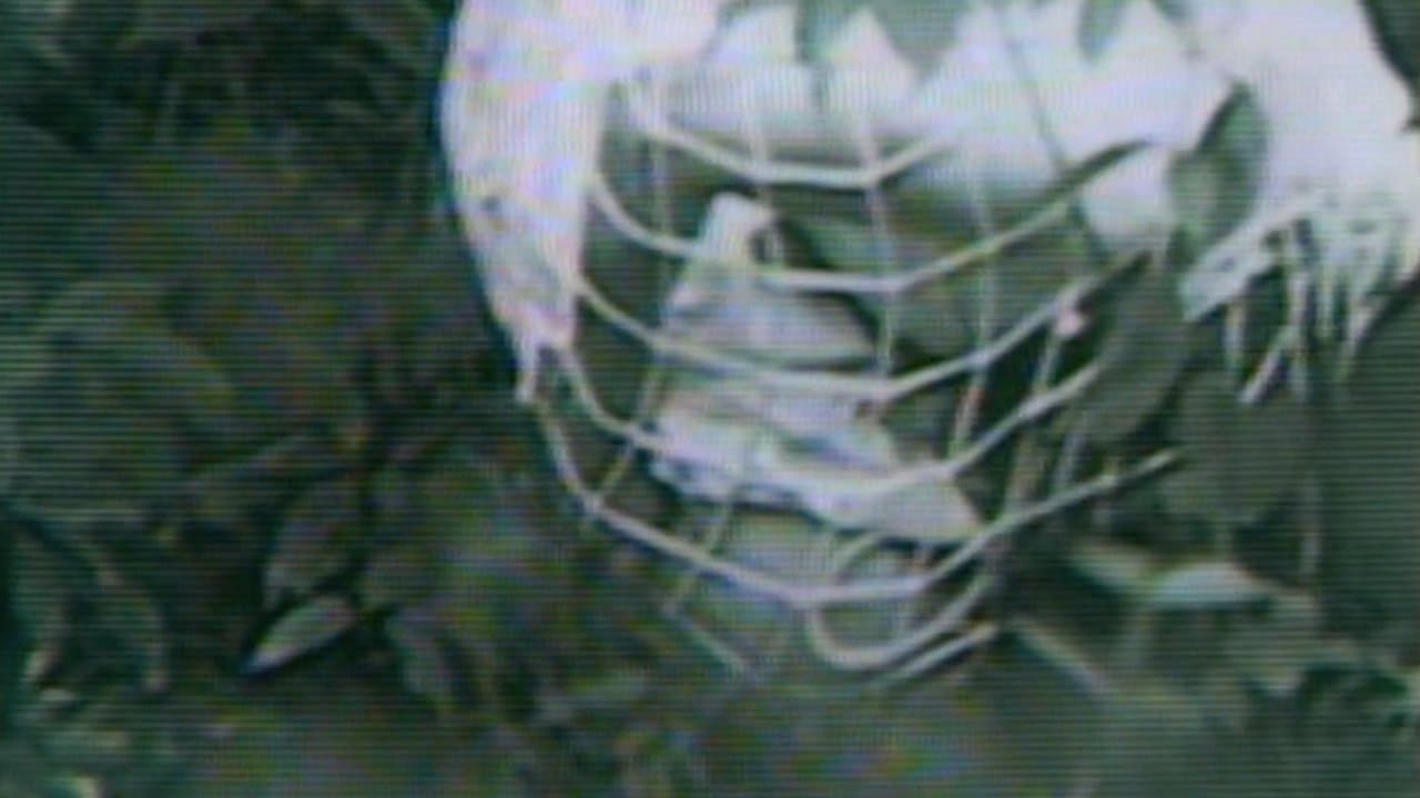 Guinea Pig: Devil's experiment