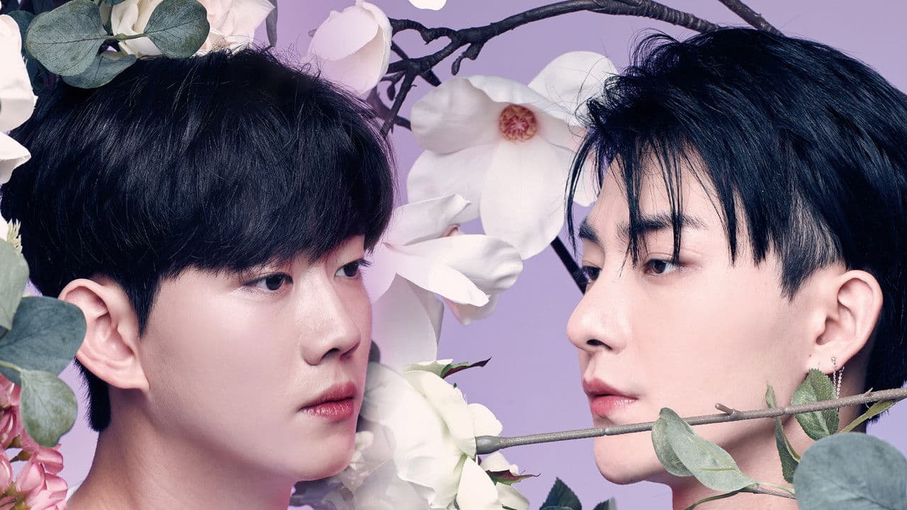 컬러러쉬 (영화)