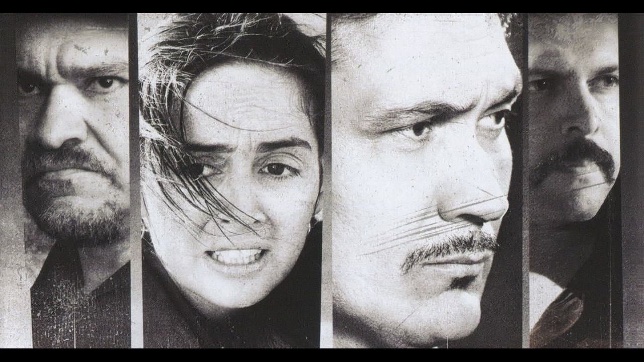 Backyard: El traspatio