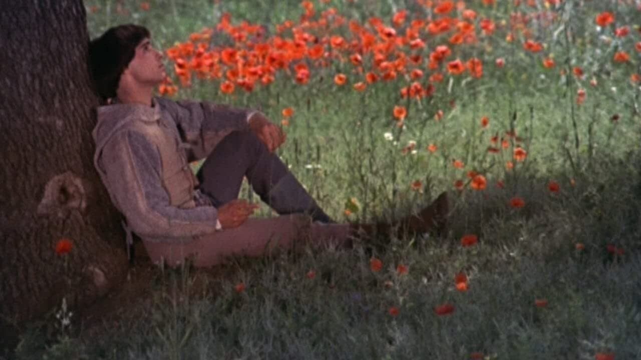 Hermano sol, hermana luna