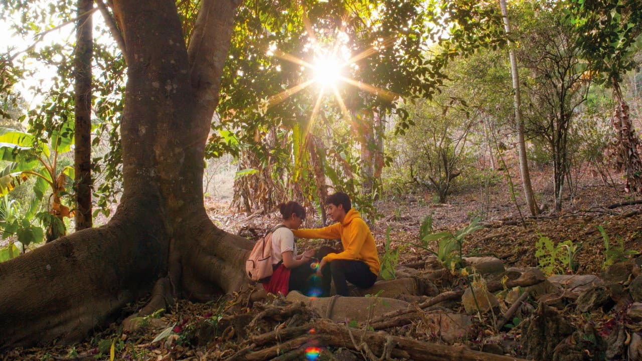 Más Allá de mi Cabeza