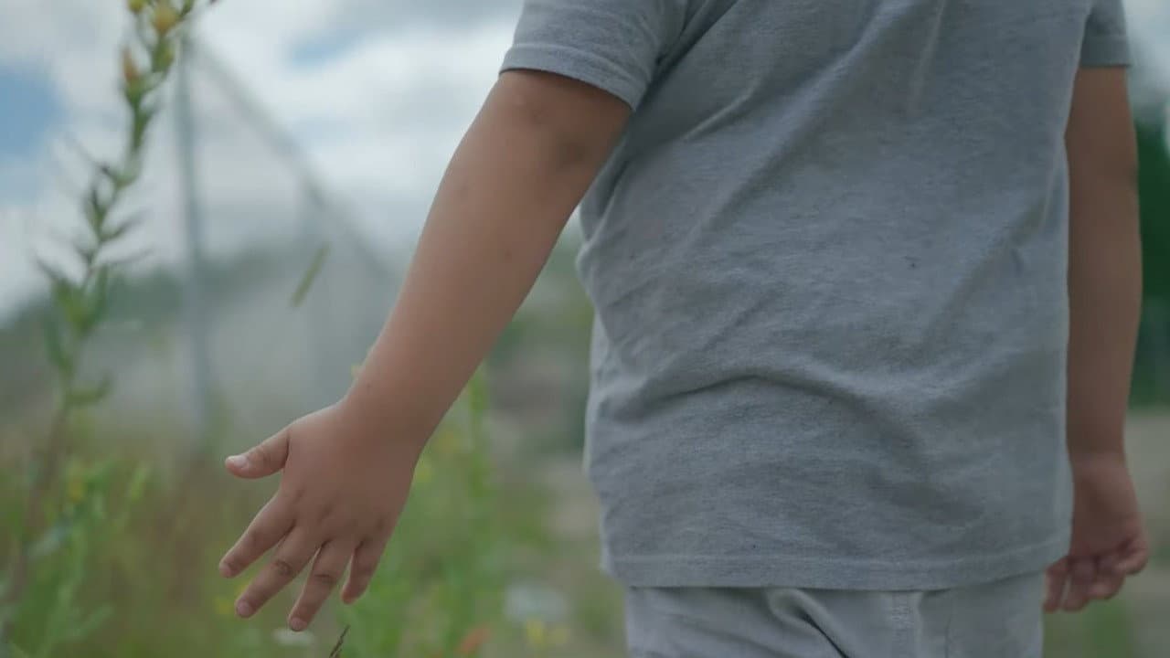 Ni Wapiten