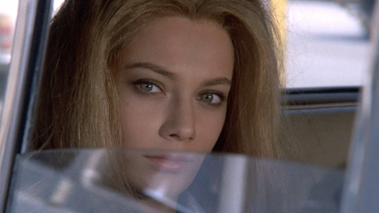 Todo en su sitio y nada en orden