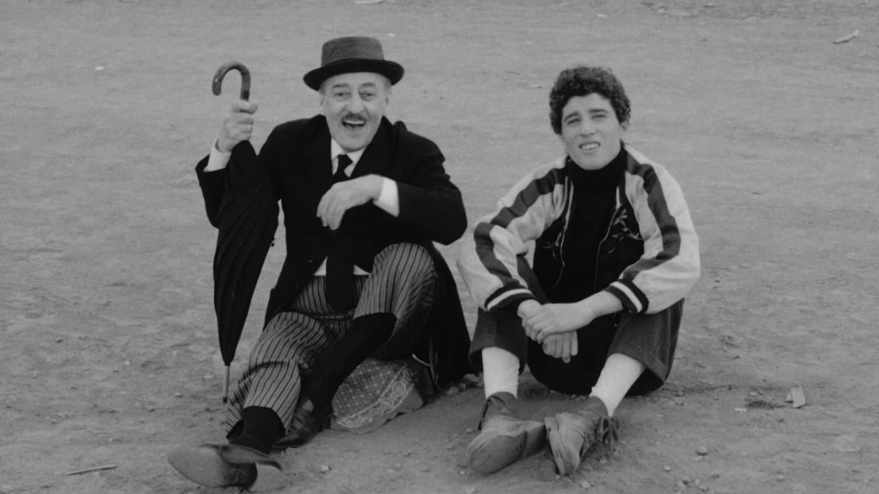 Pajaritos y pajarracos