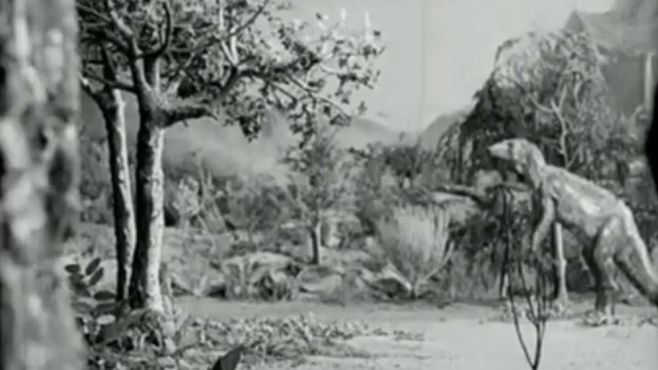 Along the Moonbeam Trail