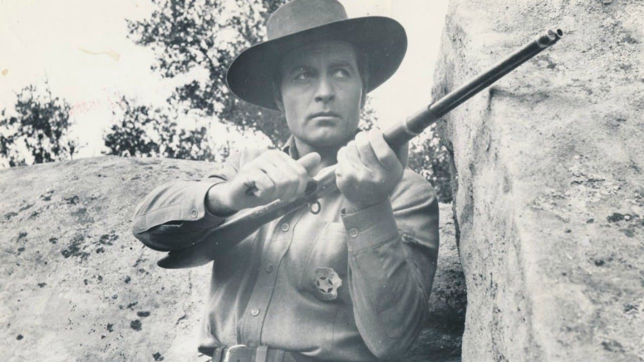 Rifle solitario