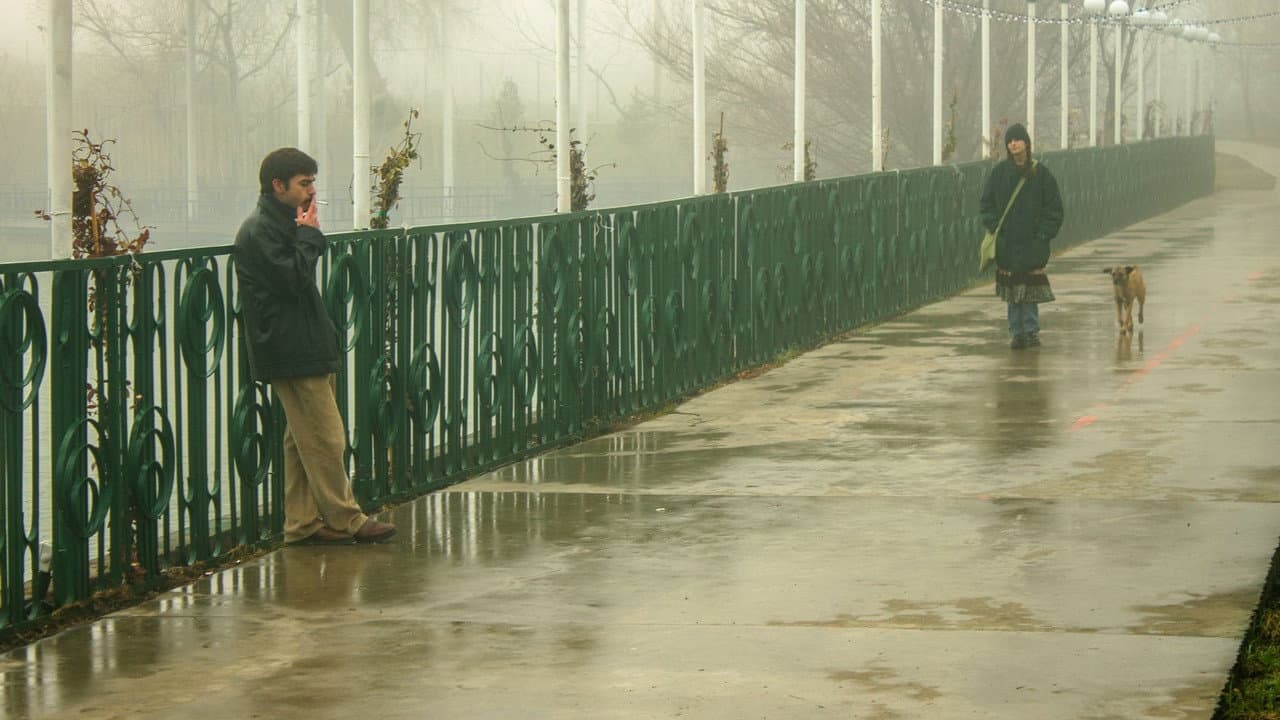 ბუზის მიზეზით