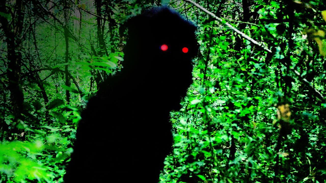 Tío Boonmee recuerda sus vidas pasadas