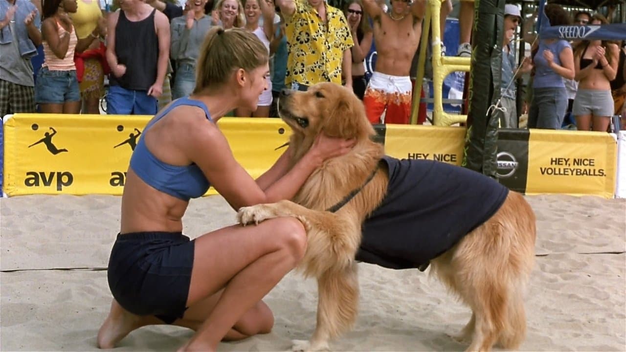 Air Bud 5: Golpea de Nuevo