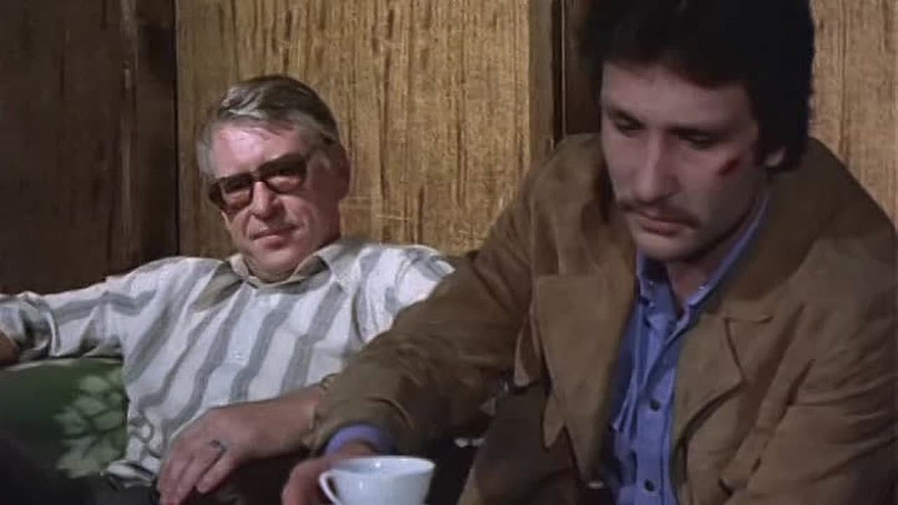 Trīs dienas pārdomām