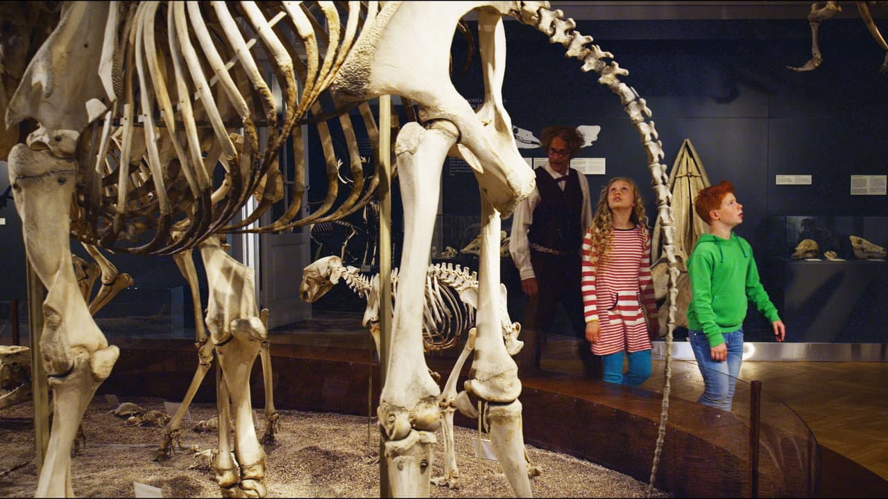 Risto Räppääjä ja yöhaukka