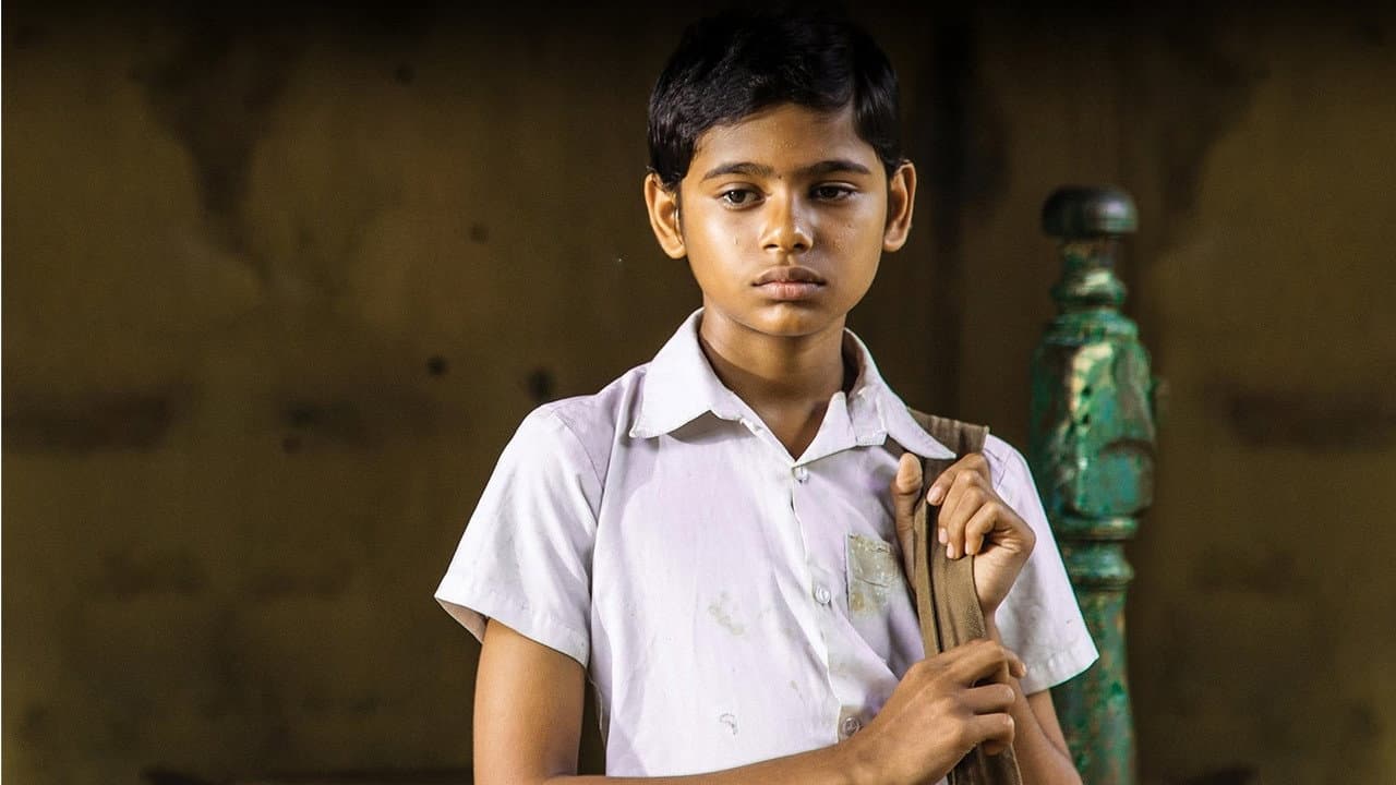 විෂම භාග