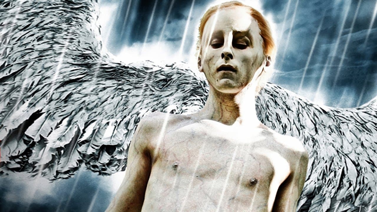 El fin del mundo en 35mm