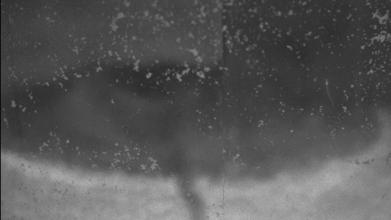 Sa Tapat ng mga Nahuhulog na Mangga