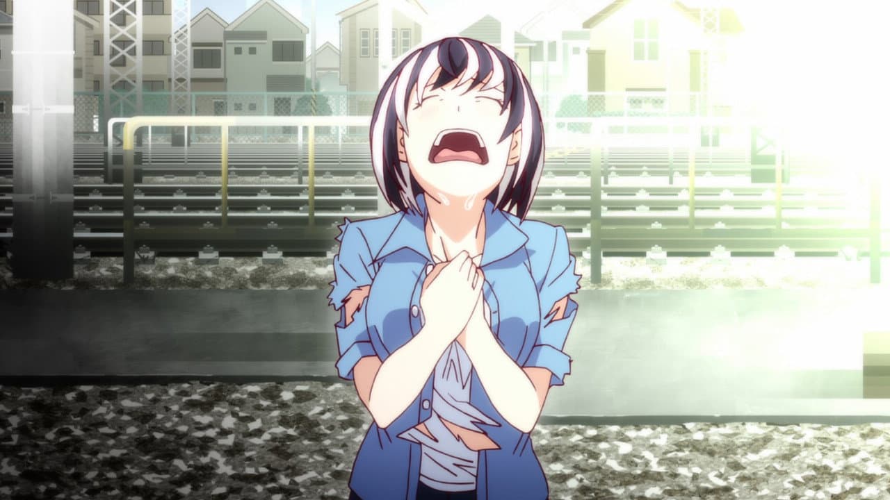 Nekomonogatari White