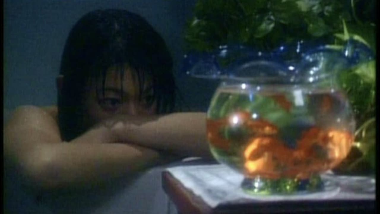 Zero WOMAN 危ない遊戯